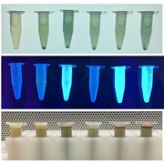 Chromogenic Analysis of Water Contaminants